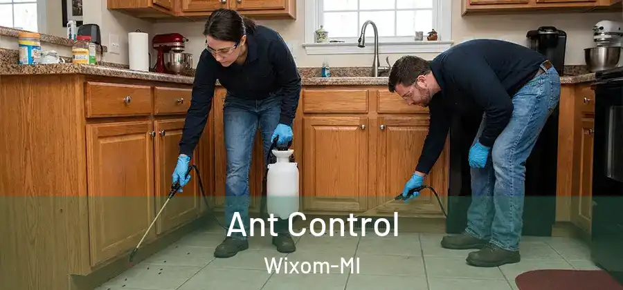 Ant Control Wixom-MI
