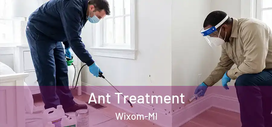 Ant Treatment Wixom-MI