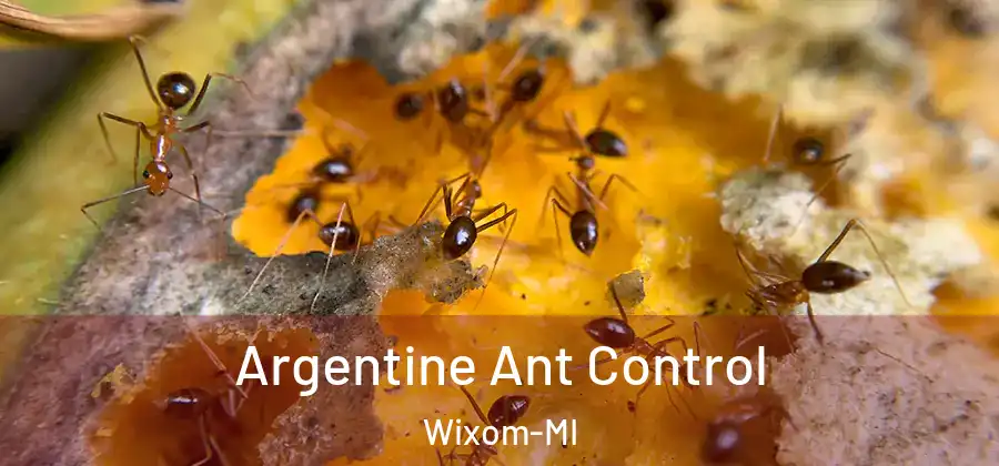 Argentine Ant Control Wixom-MI