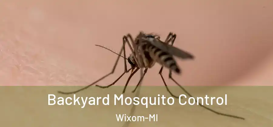 Backyard Mosquito Control Wixom-MI