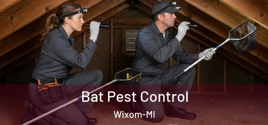 Bat Pest Control Wixom-MI