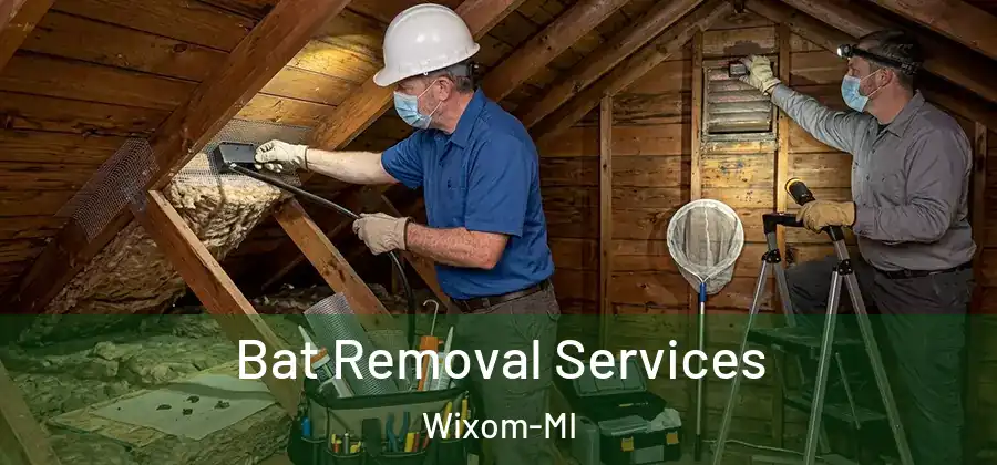 Bat Removal Services Wixom-MI