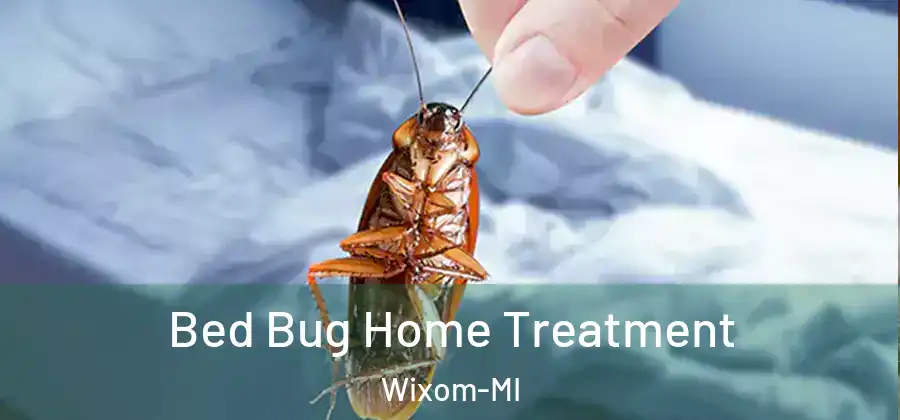 Bed Bug Home Treatment Wixom-MI