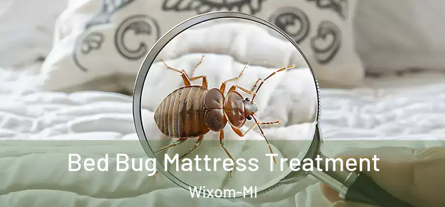  Bed Bug Mattress Treatment Wixom-MI