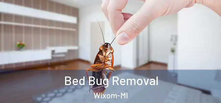 Bed Bug Removal Wixom-MI