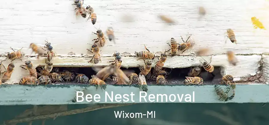 Bee Nest Removal Wixom-MI