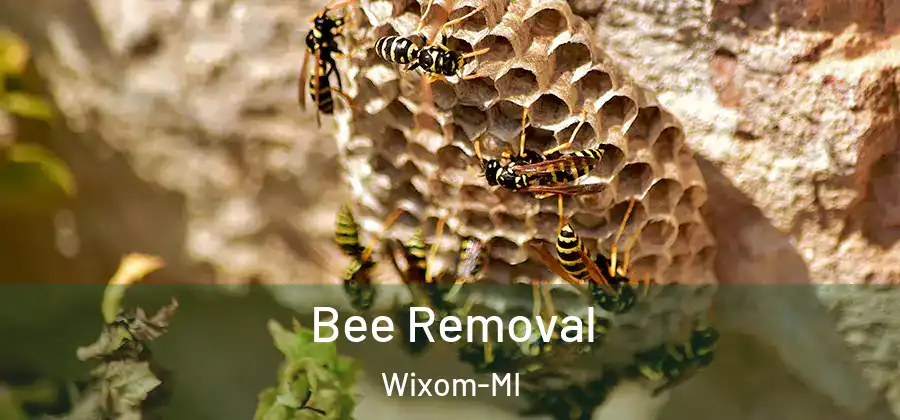 Bee Removal Wixom-MI