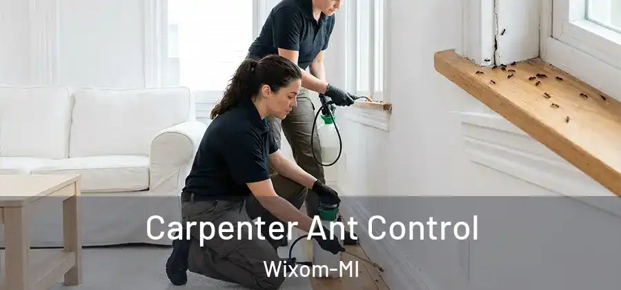 Carpenter Ant Control Wixom-MI