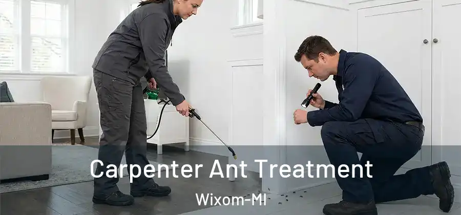 Carpenter Ant Treatment Wixom-MI
