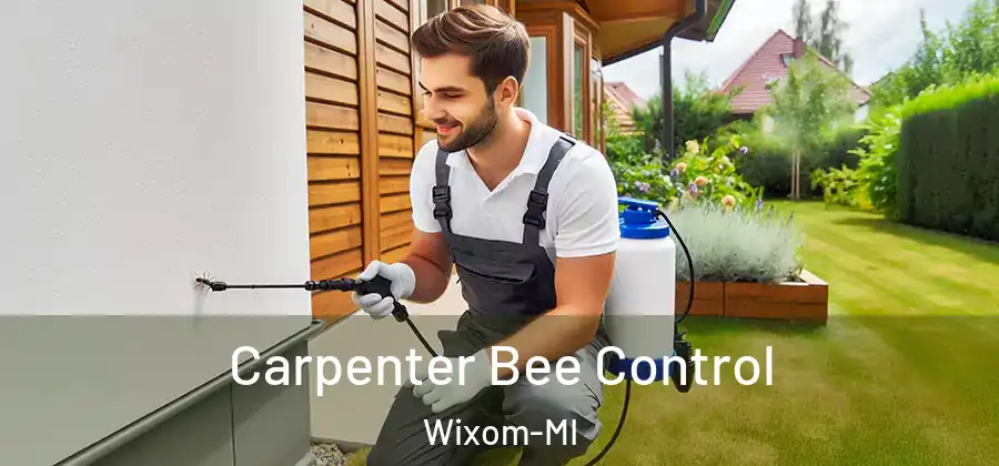  Carpenter Bee Control Wixom-MI