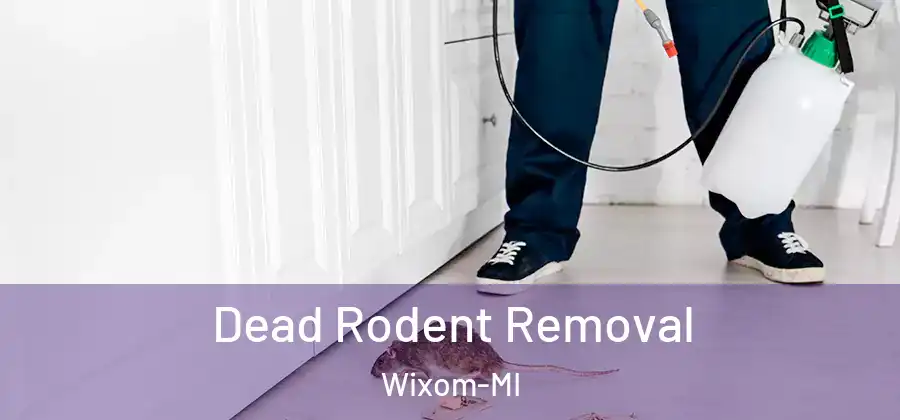 Dead Rodent Removal Wixom-MI