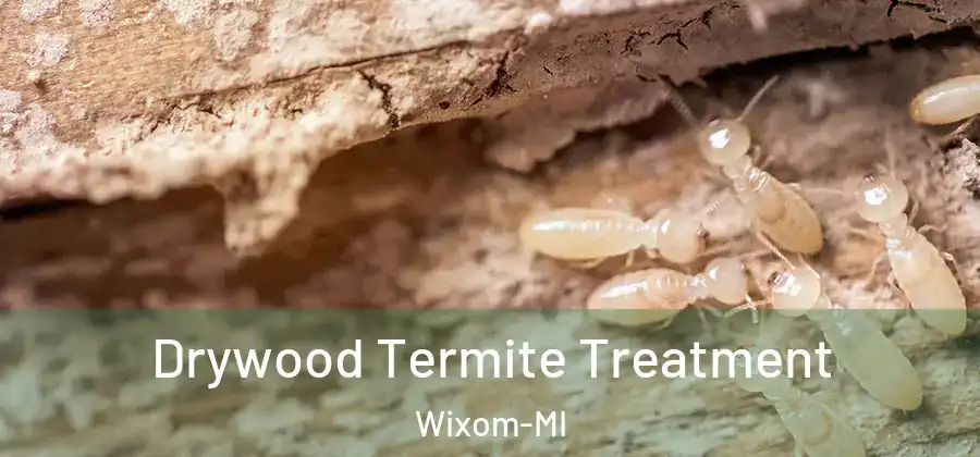 Drywood Termite Treatment Wixom-MI