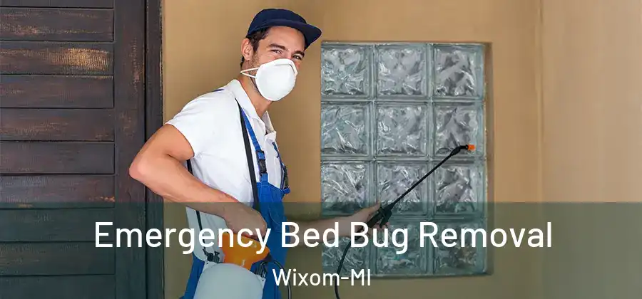 Emergency Bed Bug Removal Wixom-MI
