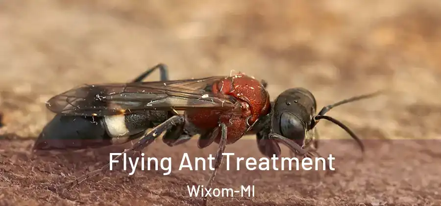 Flying Ant Treatment Wixom-MI