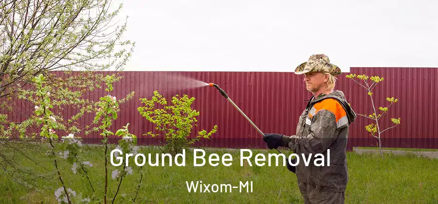 Ground Bee Removal Wixom-MI