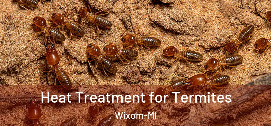  Heat Treatment for Termites Wixom-MI