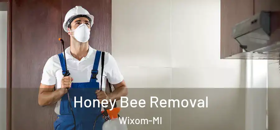 Honey Bee Removal Wixom-MI