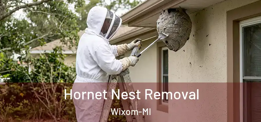 Hornet Nest Removal Wixom-MI