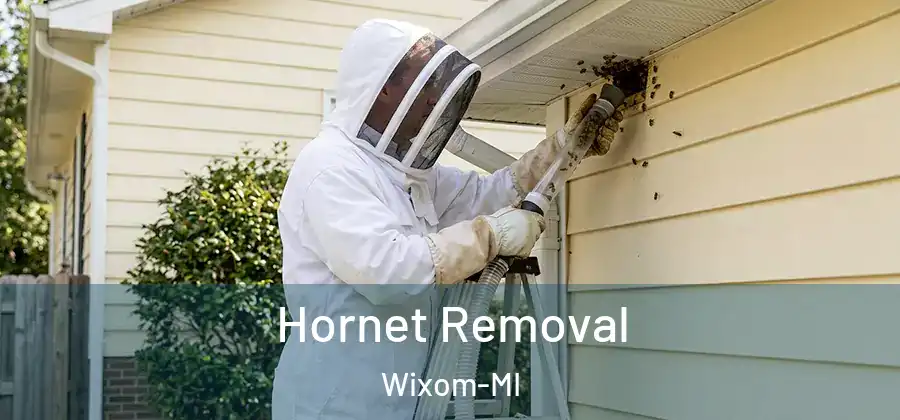 Hornet Removal Wixom-MI