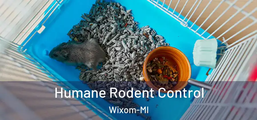 Humane Rodent Control Wixom-MI