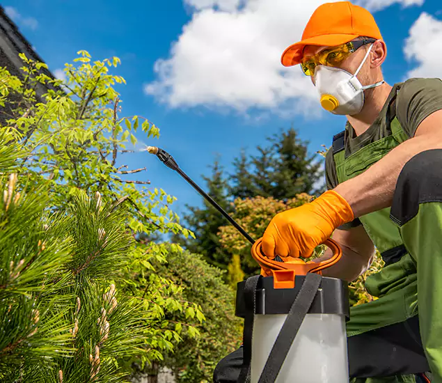 Reliable Mosquito Pest Control Services: Your Proven Mosquito Specialist in Wixom, MI