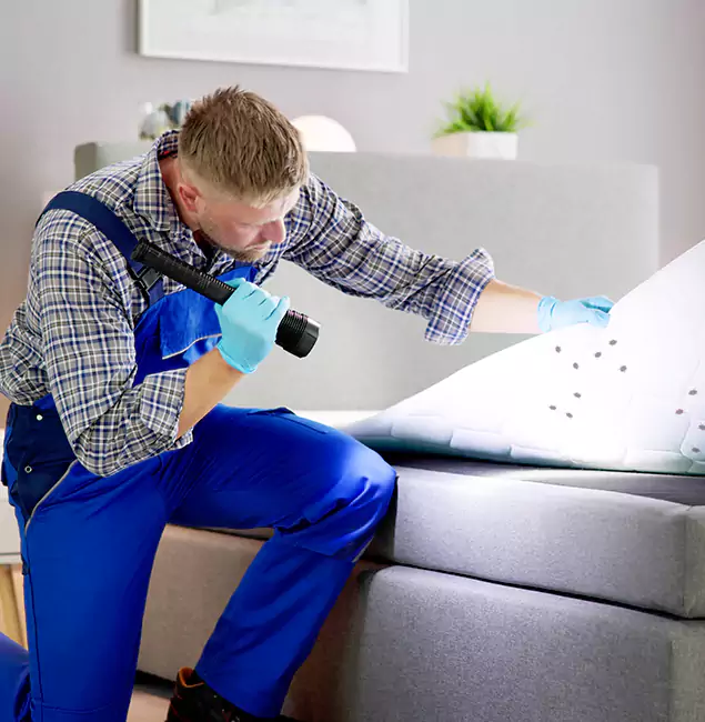 Why Choose Wixom Pest Control Pro For Bed Bug Heat Treatment in Wixom, MI?