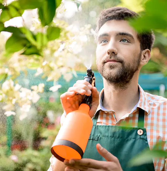 Why Wixom Pest Control Pro Is the Best Mosquito Control Company in Wixom, MI?