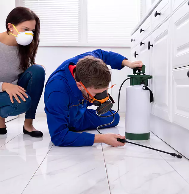 Why Choose Wood Termite Treatment by Wixom Pest Control Pro in Wixom, MI?