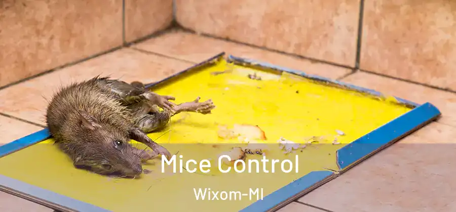 Mice Control Wixom-MI