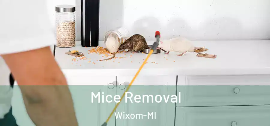 Mice Removal Wixom-MI