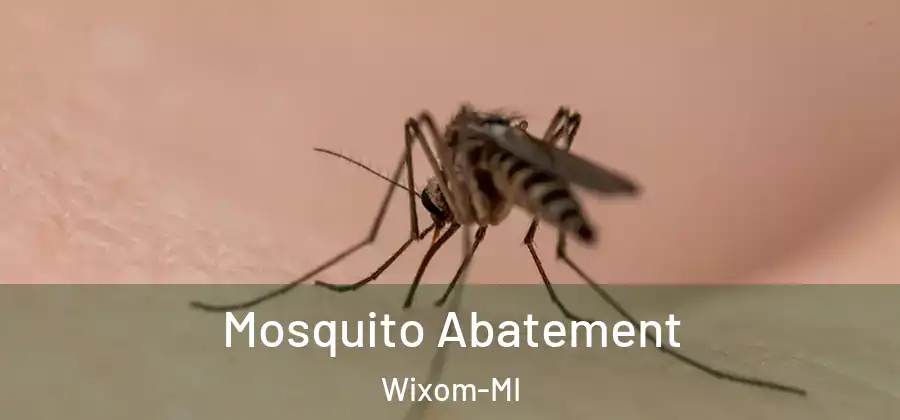 Mosquito Abatement Wixom-MI