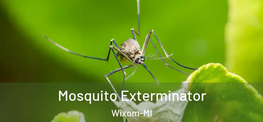 Mosquito Exterminator Wixom-MI