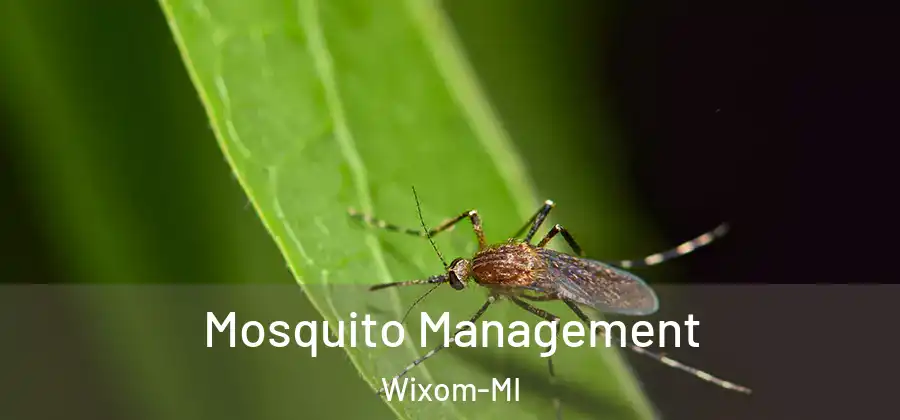 Mosquito Management Wixom-MI