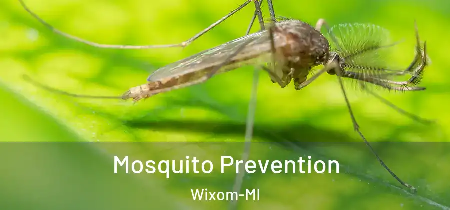 Mosquito Prevention Wixom-MI