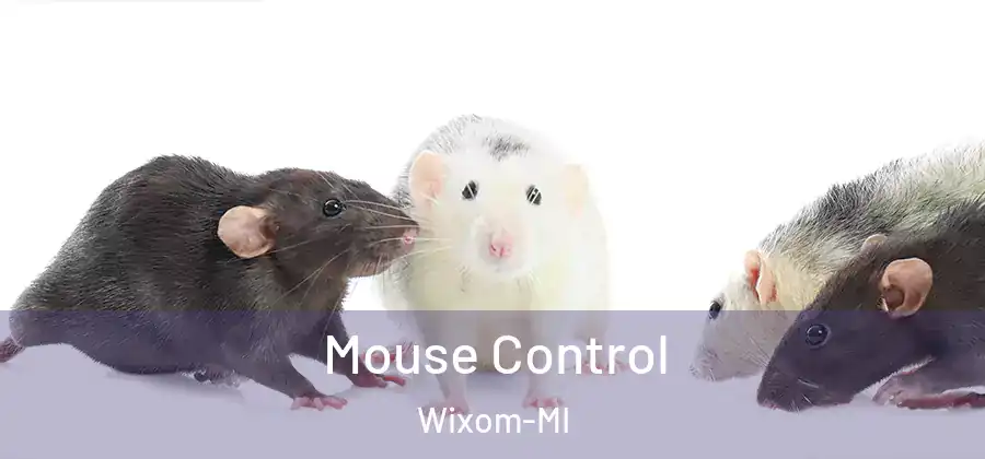 Mouse Control Wixom-MI
