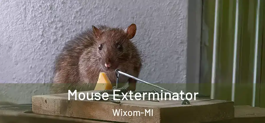 Mouse Exterminator Wixom-MI