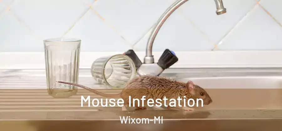 Mouse Infestation Wixom-MI