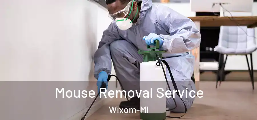 Mouse Removal Service Wixom-MI