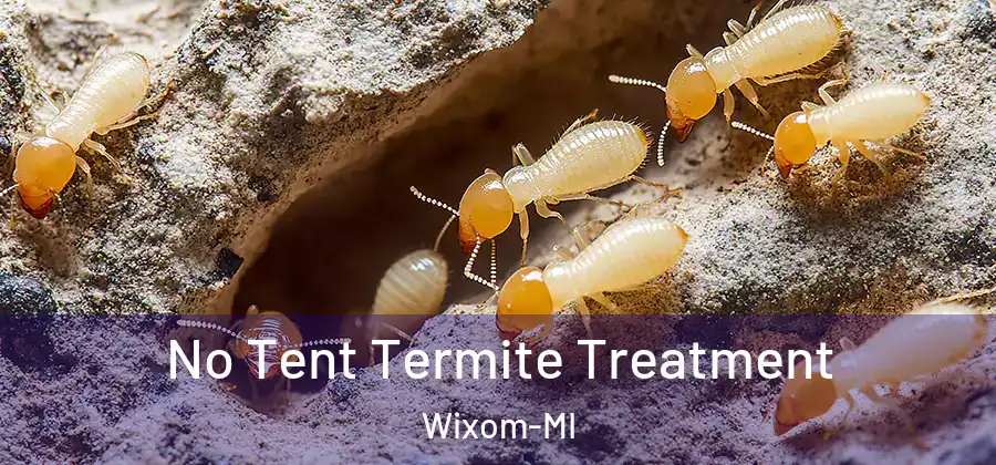 No Tent Termite Treatment Wixom-MI