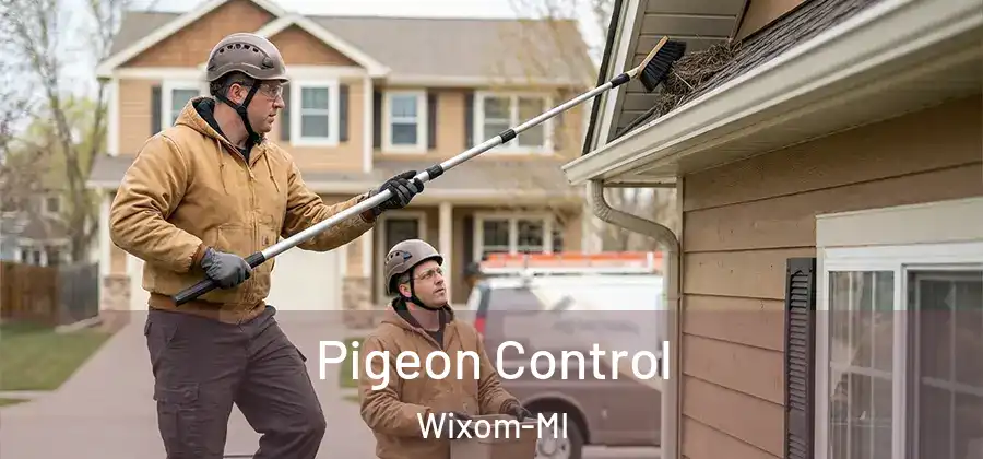 Pigeon Control Wixom-MI
