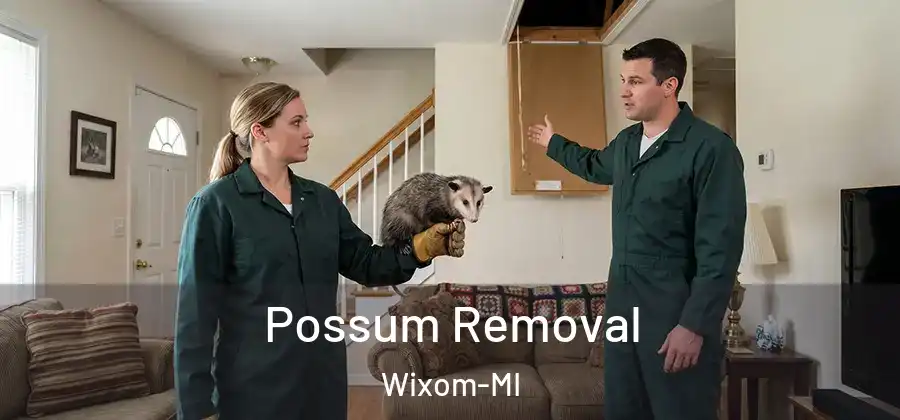 Possum Removal Wixom-MI