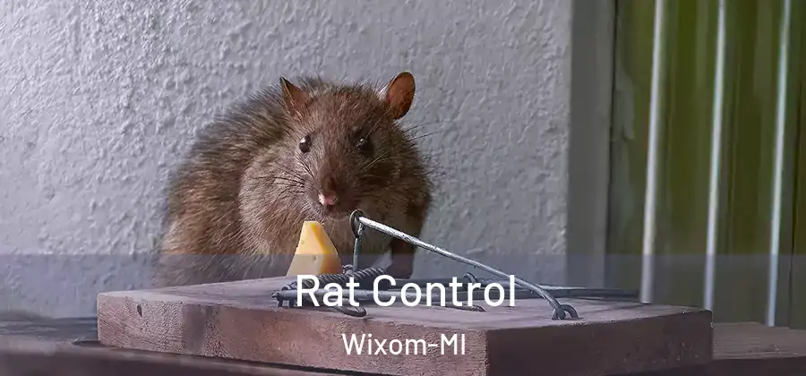 Rat Control Wixom-MI