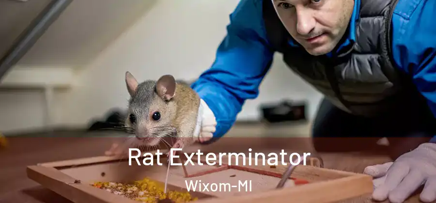 Rat Exterminator Wixom-MI