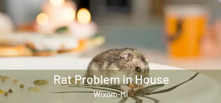 Rat Problem in House Wixom-MI