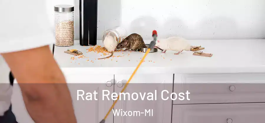 Rat Removal Cost Wixom-MI