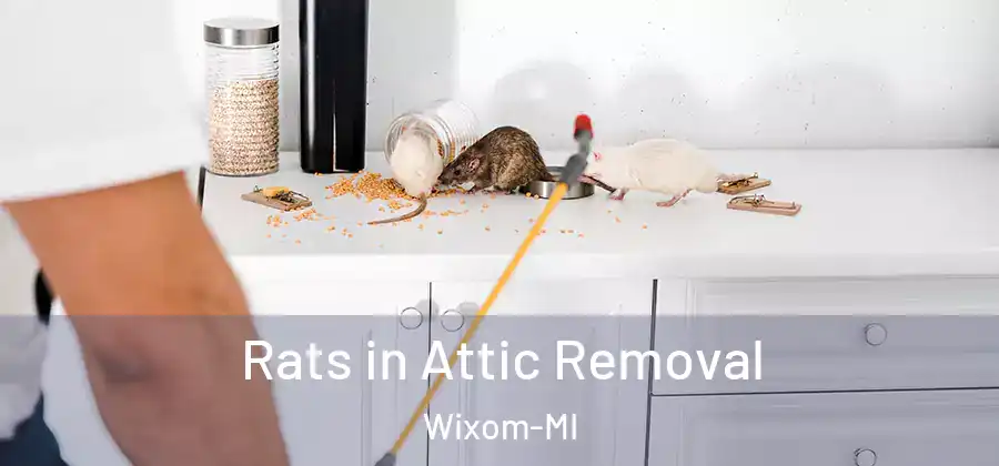 Rats in Attic Removal Wixom-MI