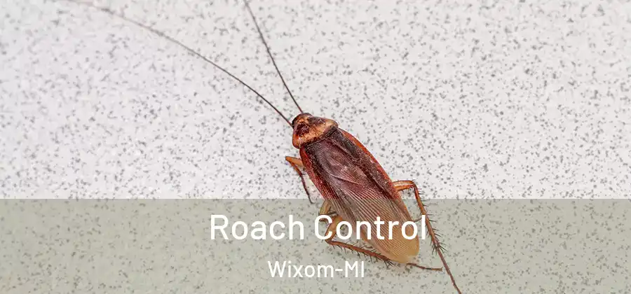 Roach Control Wixom-MI