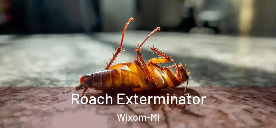 Roach Exterminator Wixom-MI