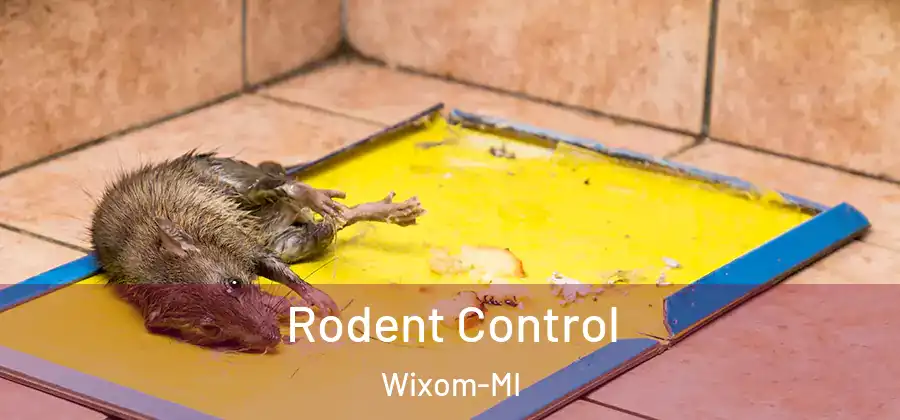 Rodent Control Wixom-MI