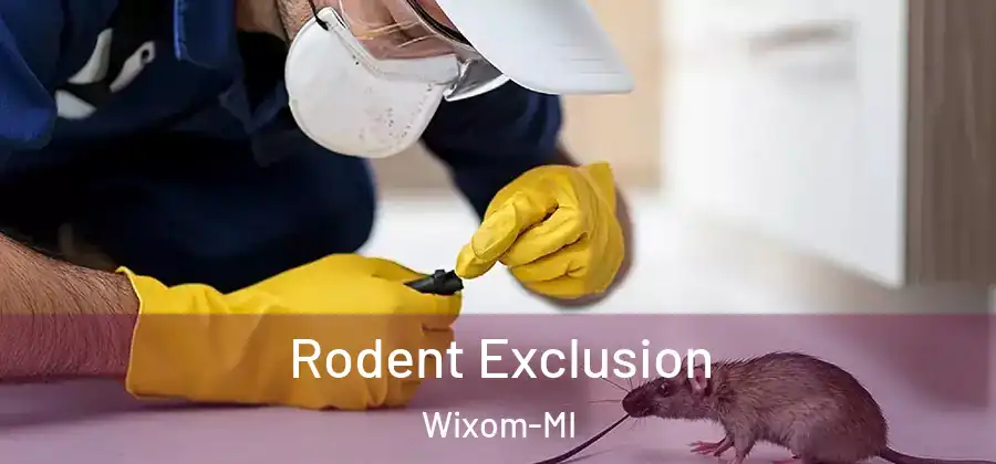 Rodent Exclusion Wixom-MI